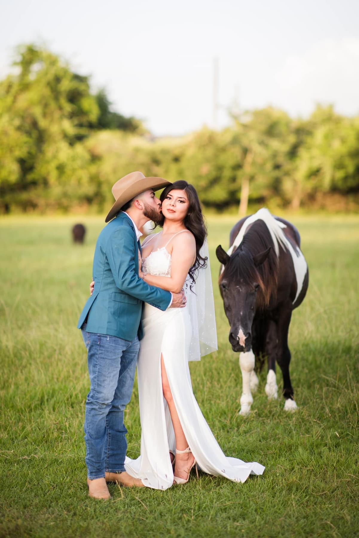 Photography at The Good Vibe Farm