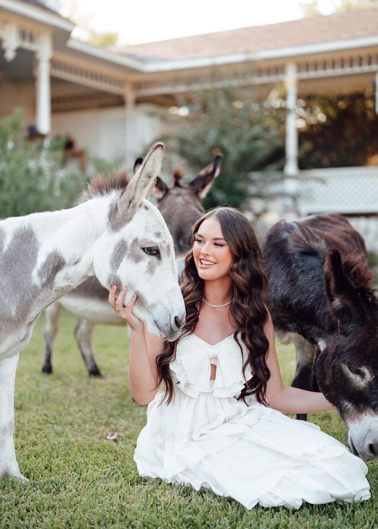 Photography at The Good Vibe Farm